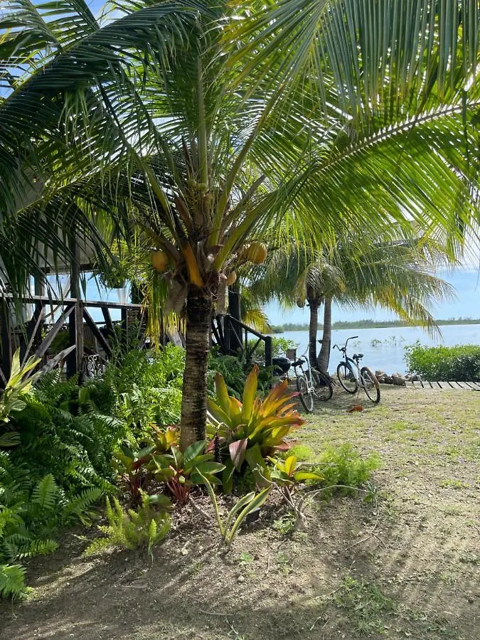 Hidden Paradise - Cottage Nassau Bahamas